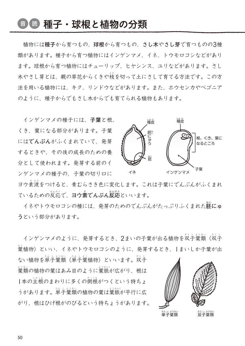 新版５年生の国社算理［改訂版］たったこれだけプリント プロモーション 9